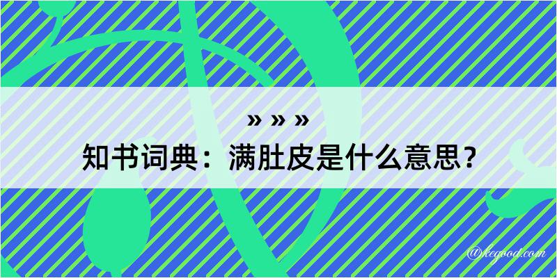 知书词典：满肚皮是什么意思？