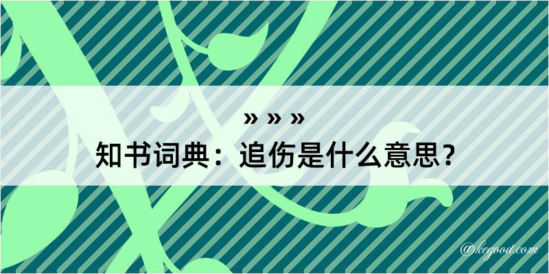 知书词典：追伤是什么意思？