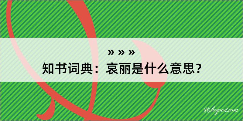 知书词典：哀丽是什么意思？