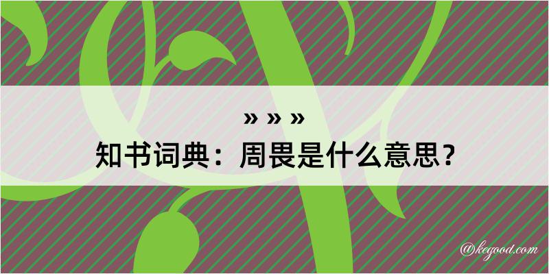 知书词典：周畏是什么意思？