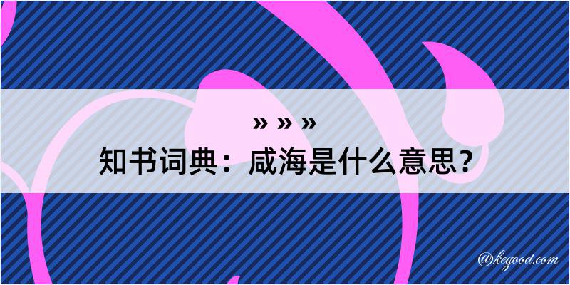 知书词典：咸海是什么意思？