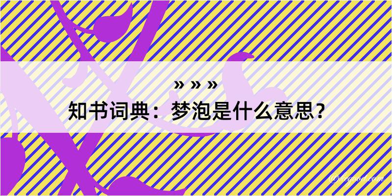 知书词典：梦泡是什么意思？