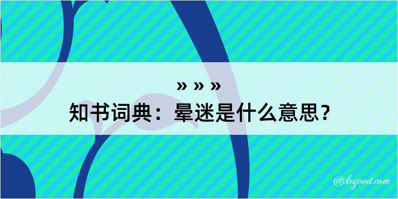 知书词典：晕迷是什么意思？