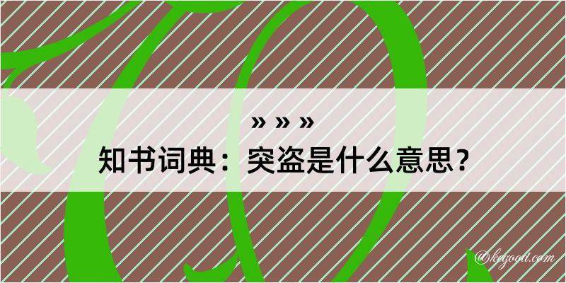 知书词典：突盗是什么意思？