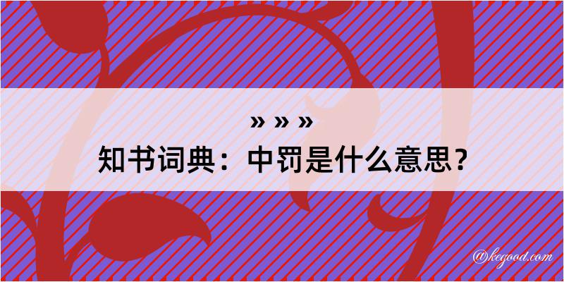 知书词典：中罚是什么意思？