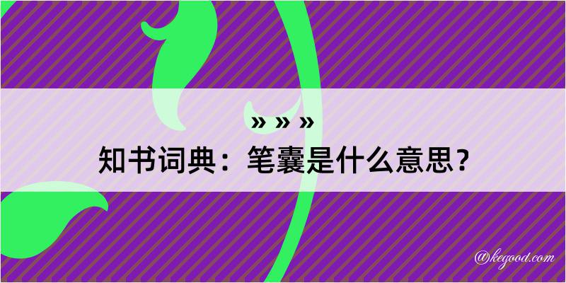 知书词典：笔囊是什么意思？