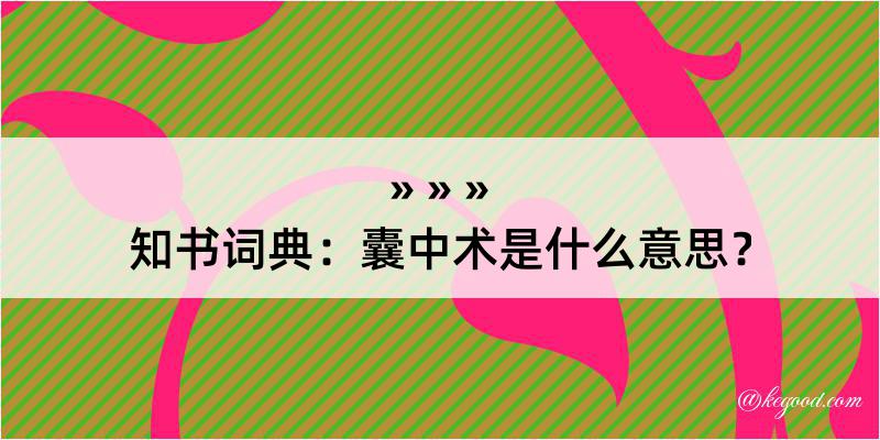 知书词典：囊中术是什么意思？