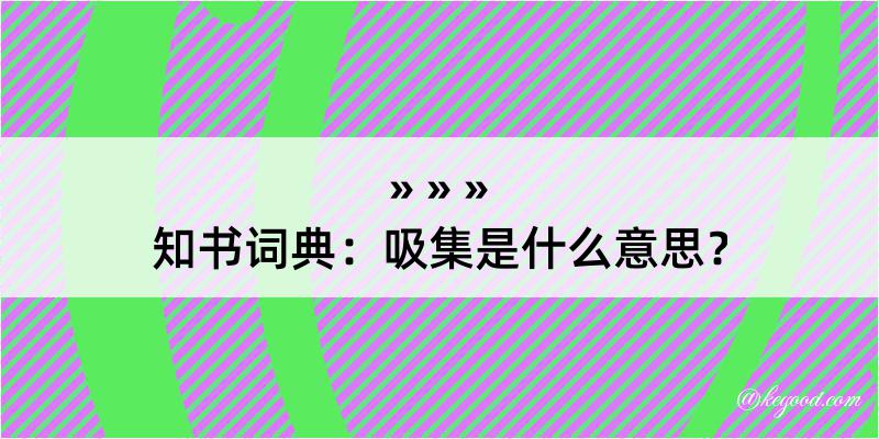 知书词典：吸集是什么意思？