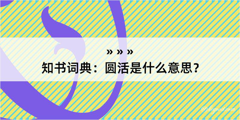 知书词典：圆活是什么意思？