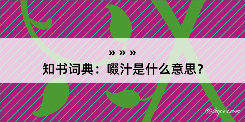 知书词典：啜汁是什么意思？