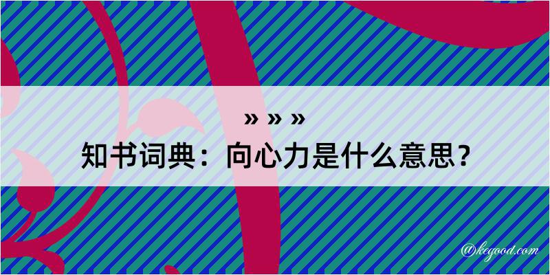 知书词典：向心力是什么意思？