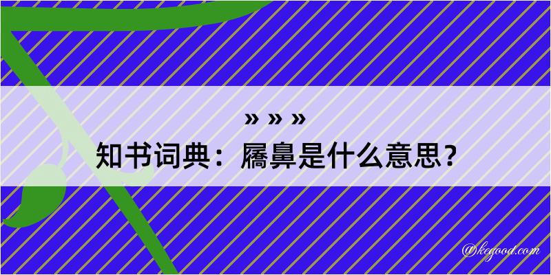 知书词典：屩鼻是什么意思？