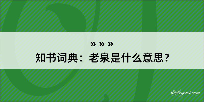 知书词典：老泉是什么意思？