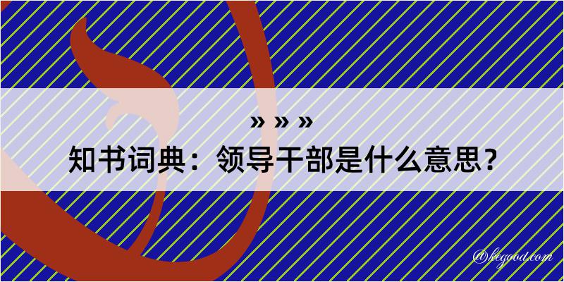 知书词典：领导干部是什么意思？