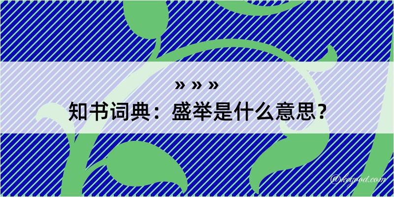 知书词典：盛举是什么意思？