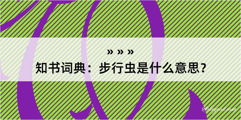 知书词典：步行虫是什么意思？