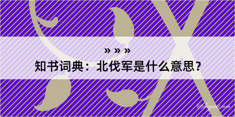 知书词典：北伐军是什么意思？