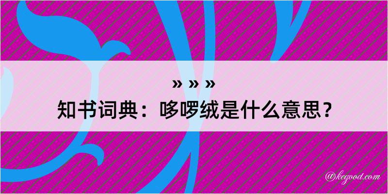 知书词典：哆啰绒是什么意思？