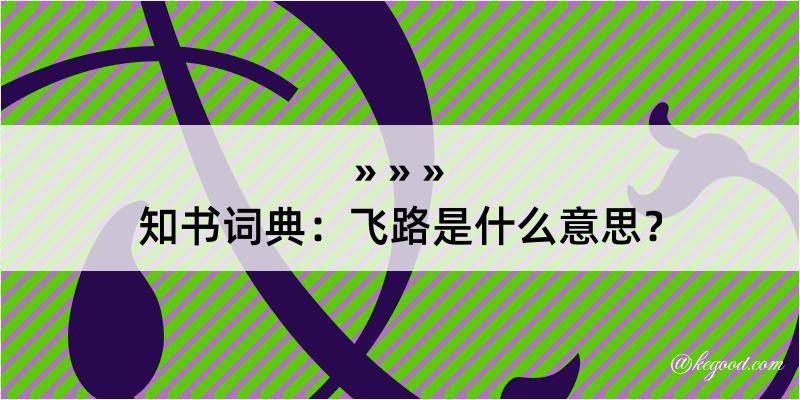 知书词典：飞路是什么意思？