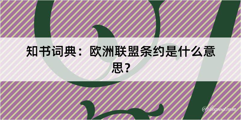 知书词典：欧洲联盟条约是什么意思？