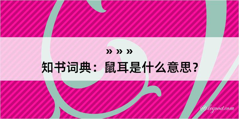 知书词典：鼠耳是什么意思？