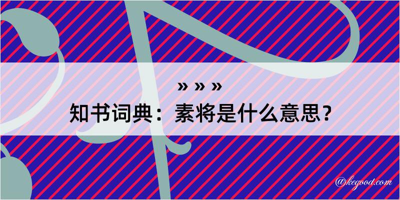 知书词典：素将是什么意思？