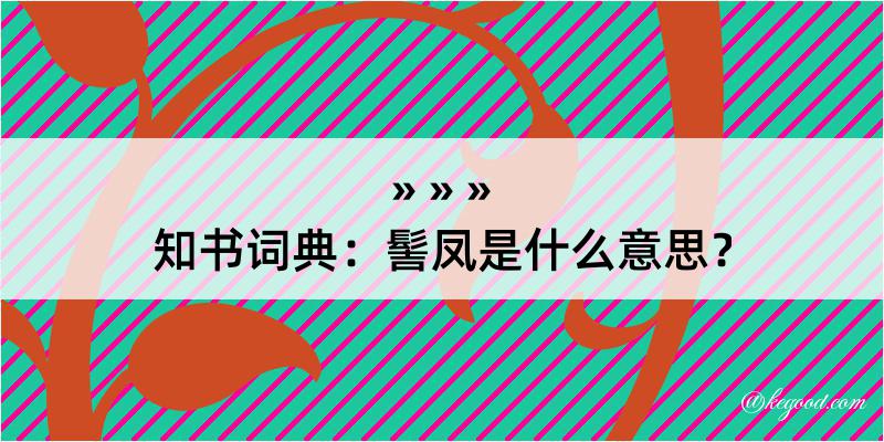 知书词典：髻凤是什么意思？