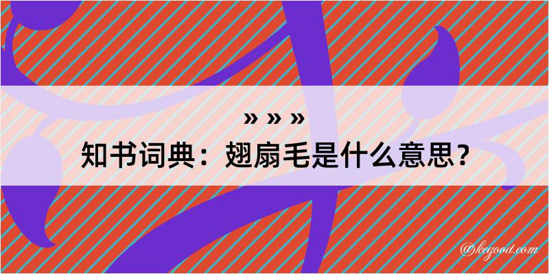 知书词典：翅扇毛是什么意思？