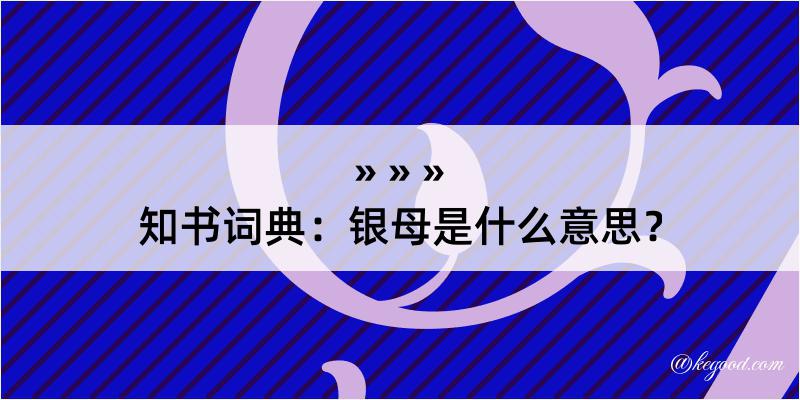 知书词典：银母是什么意思？