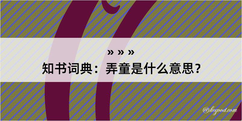 知书词典：弄童是什么意思？