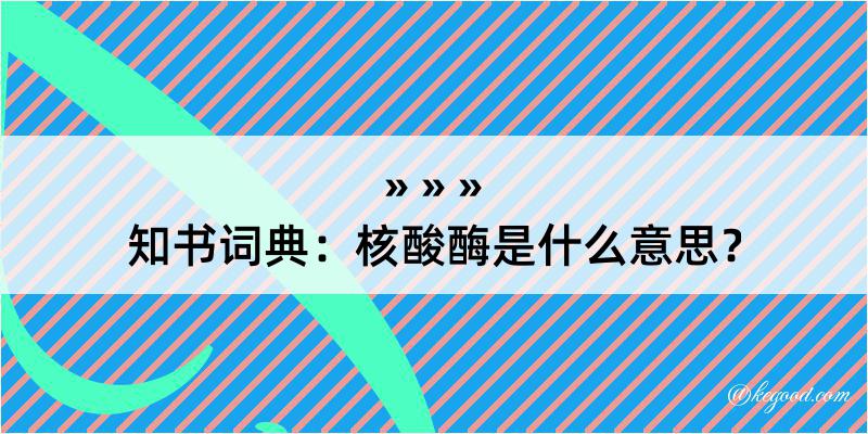 知书词典：核酸酶是什么意思？