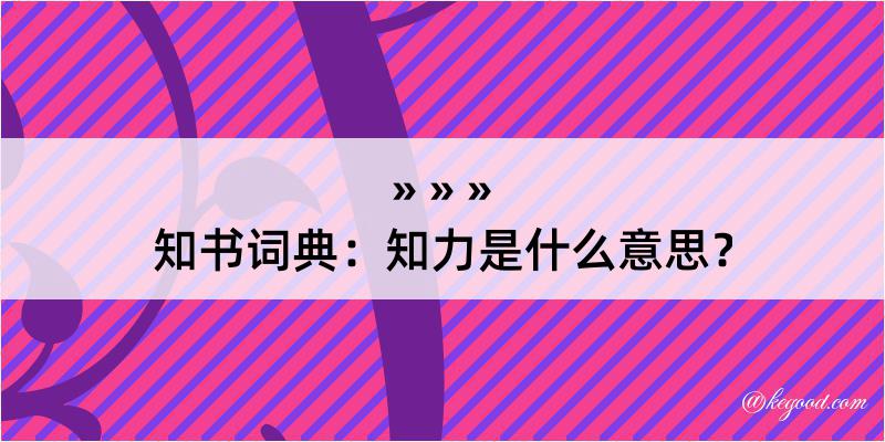 知书词典：知力是什么意思？