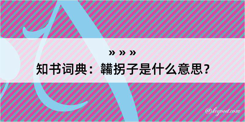 知书词典：韛拐子是什么意思？