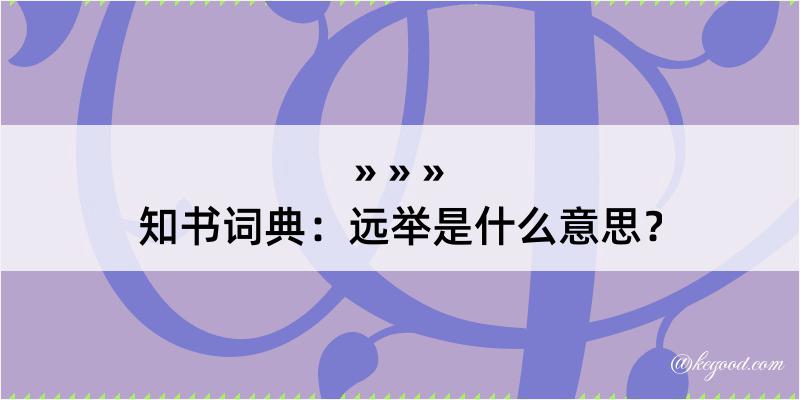 知书词典：远举是什么意思？