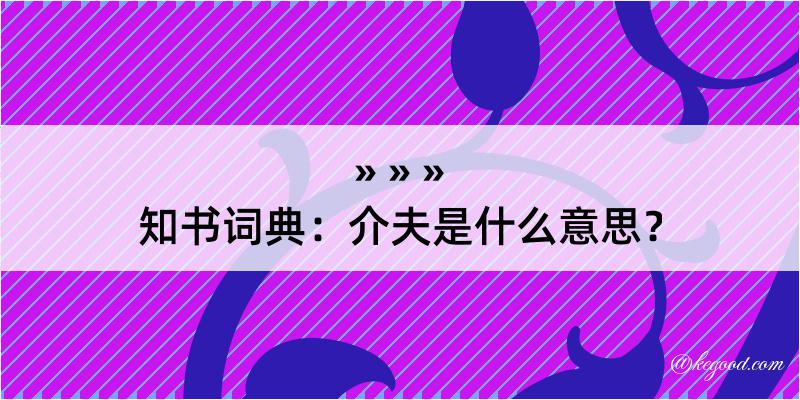 知书词典：介夫是什么意思？