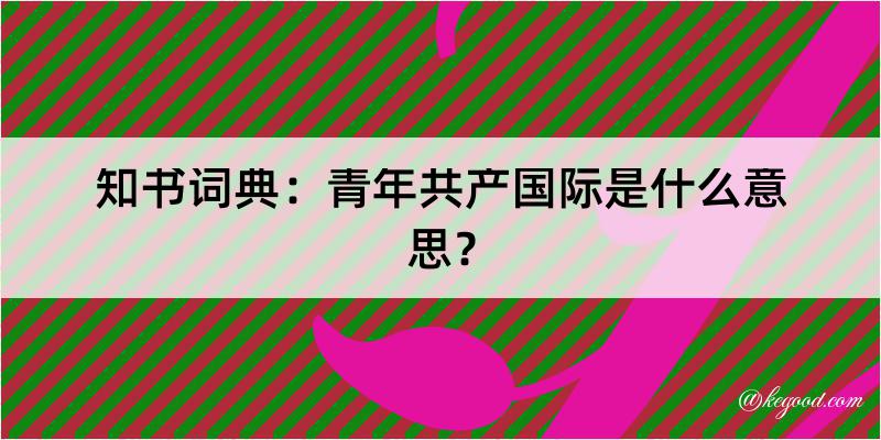 知书词典：青年共产国际是什么意思？