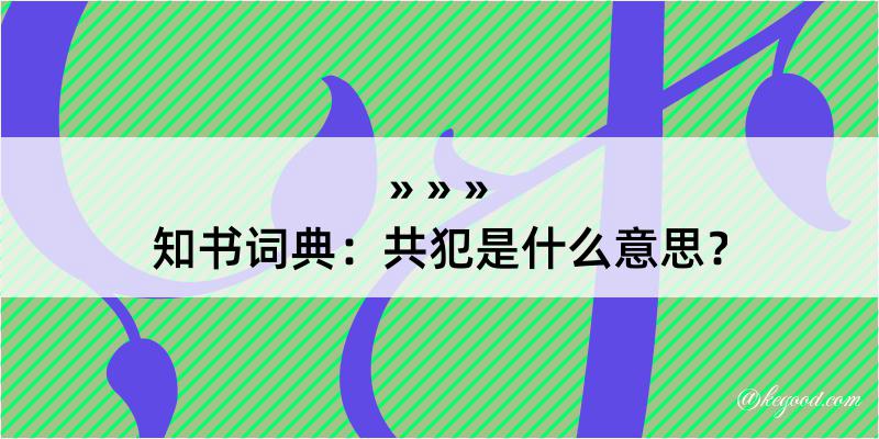 知书词典：共犯是什么意思？