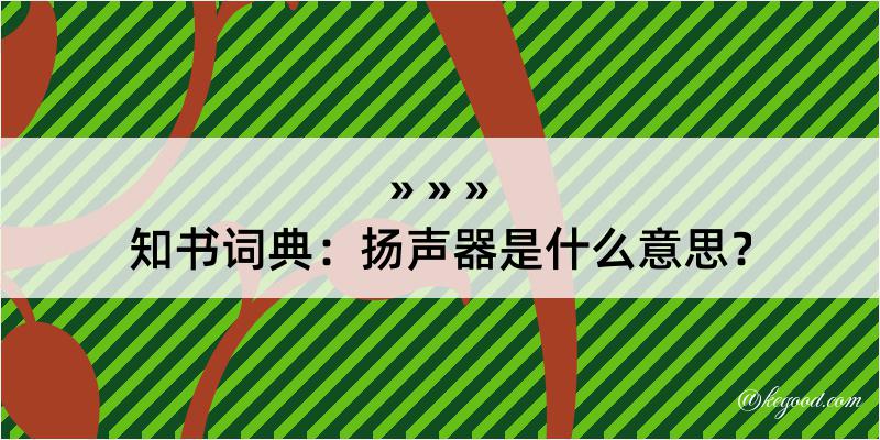 知书词典：扬声器是什么意思？