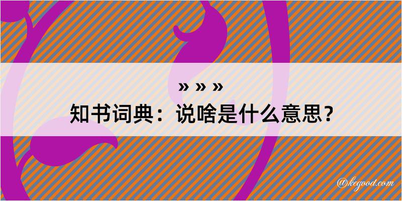 知书词典：说啥是什么意思？