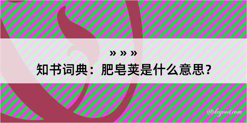 知书词典：肥皂荚是什么意思？