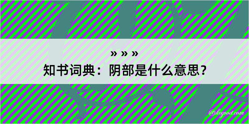 知书词典：阴部是什么意思？