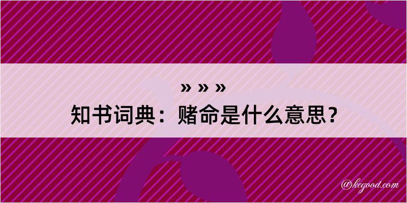 知书词典：赌命是什么意思？