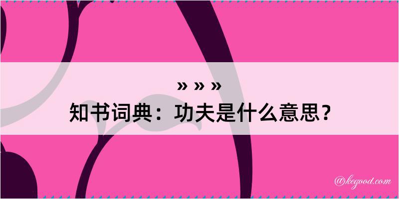 知书词典：功夫是什么意思？