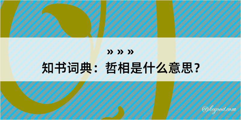 知书词典：哲相是什么意思？