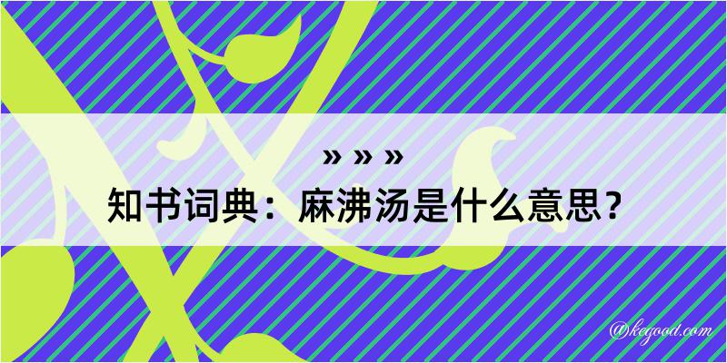 知书词典：麻沸汤是什么意思？