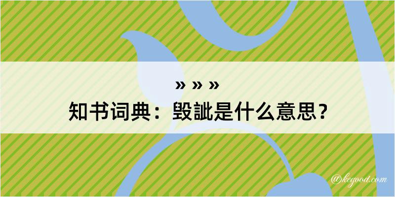 知书词典：毁訿是什么意思？