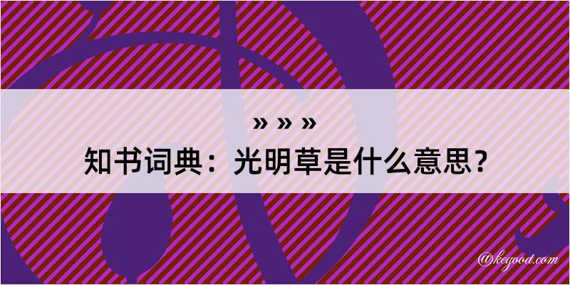 知书词典：光明草是什么意思？