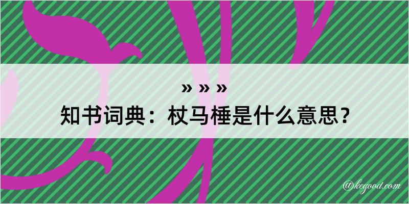 知书词典：杖马棰是什么意思？