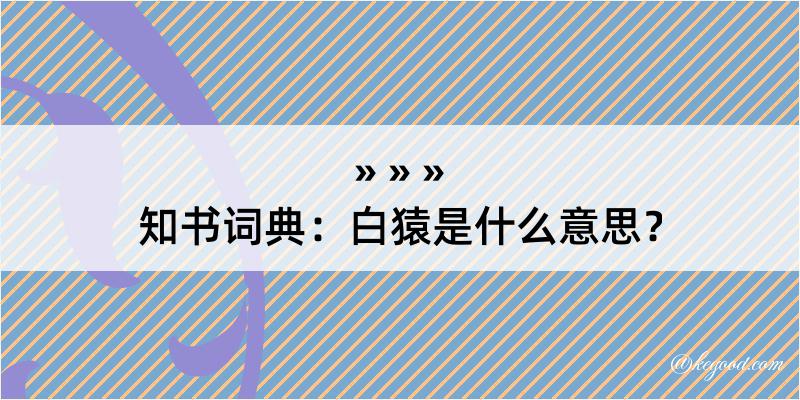 知书词典：白猿是什么意思？