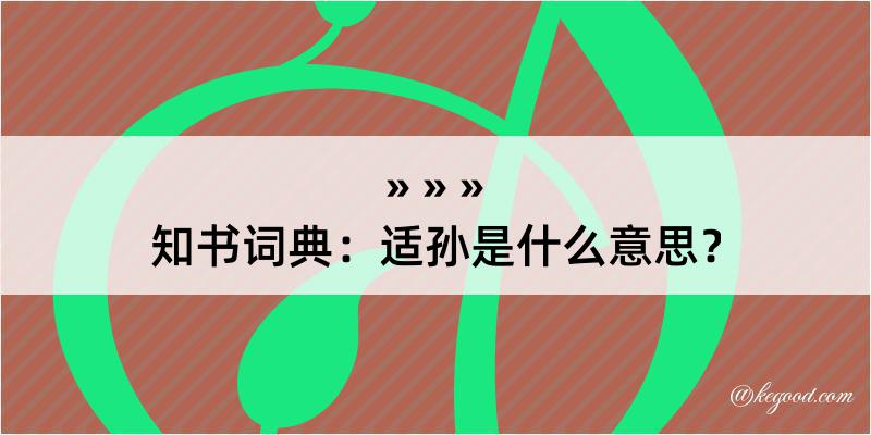 知书词典：适孙是什么意思？